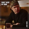 First Taste of Gone by Josh Ross