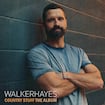 Fancy Like by Walker Hayes